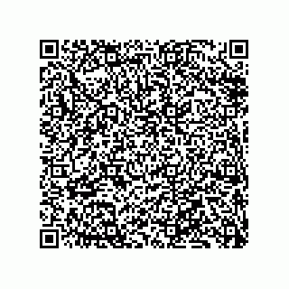 vCard 79833243584