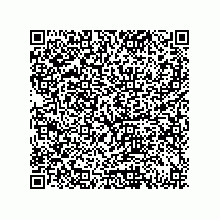 vCard 79833243713