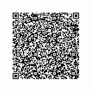 vCard 79833243729