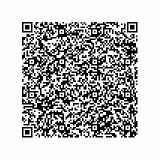 vCard 79833243741