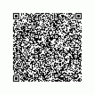vCard 79833243840
