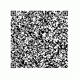 vCard 79833243978