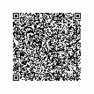 vCard 79833243987