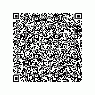 vCard 79833244203