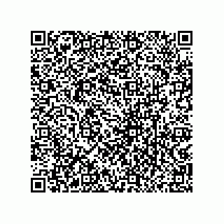 vCard 79833245209