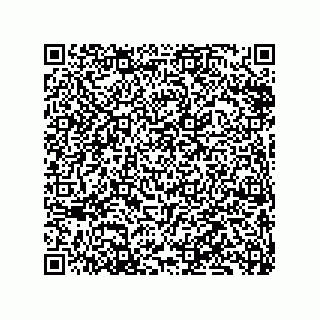 vCard 79833245359