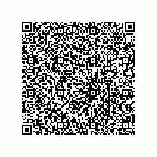 vCard 79833245380