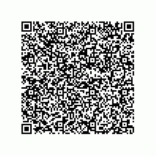 vCard 79833245381
