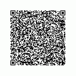 vCard 79833245384