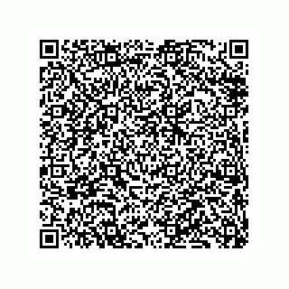 vCard 79833245385