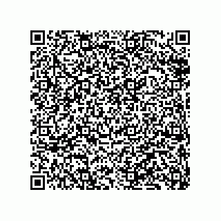 vCard 79833245409