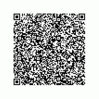vCard 79833245539