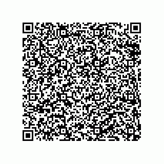 vCard 79833245873