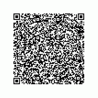 vCard 79833245987