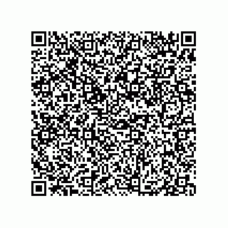 vCard 79833246090