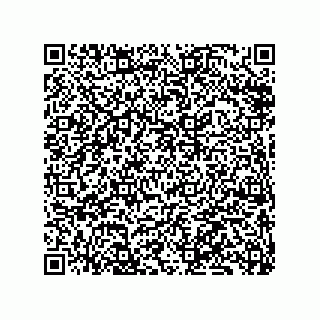 vCard 79833246249