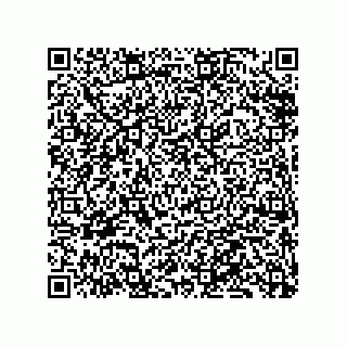 vCard 79833246272
