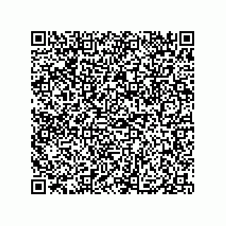 vCard 79833246379