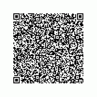 vCard 79833246381