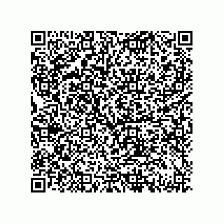vCard 79833246411