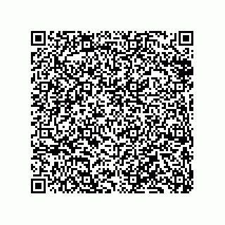 vCard 79833246509