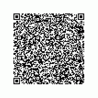 vCard 79833246538