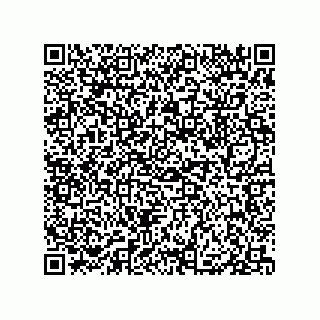 vCard 79833247001