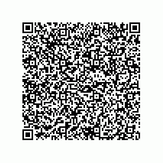 vCard 79833247008