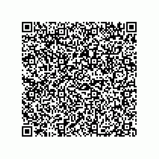 vCard 79833247680