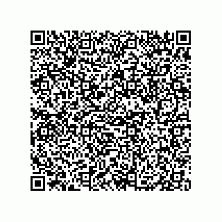 vCard 79833247808