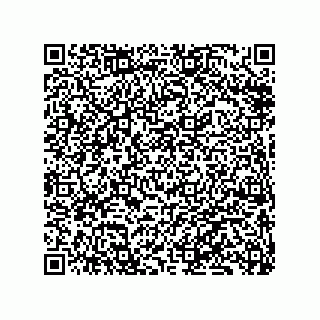 vCard 79833247889