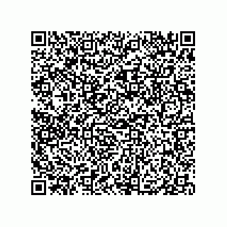 vCard 79833247903