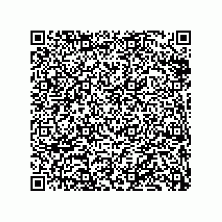 vCard 79833247936