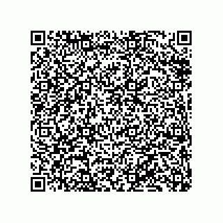 vCard 79833247981