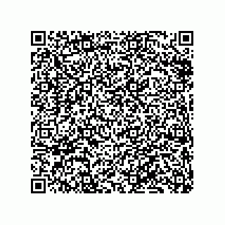 vCard 79833247991