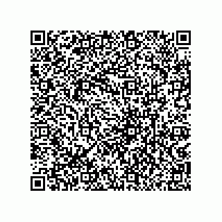 vCard 79833247999