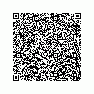 vCard 79833248889