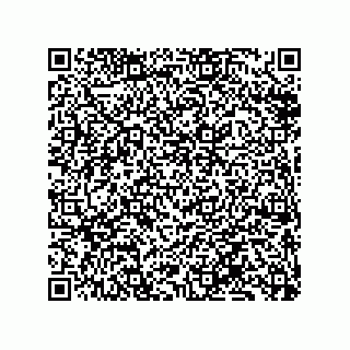 vCard 79833248900