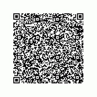 vCard 79833248905