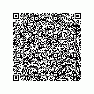 vCard 79833249005