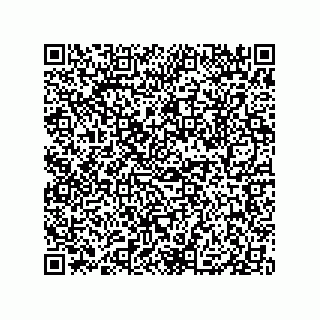 vCard 79833249008