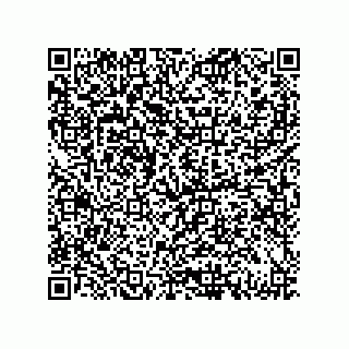 vCard 79833249009