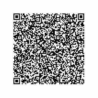 vCard 79833249038