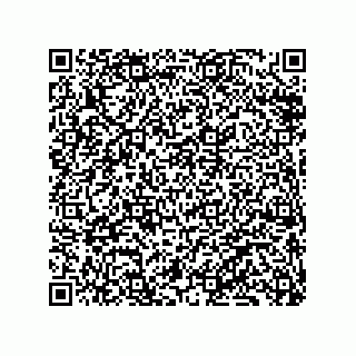 vCard 79833249045