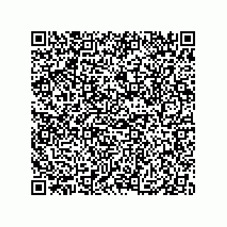 vCard 79833249604