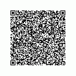 vCard 79833249620