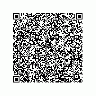 vCard 79833249631