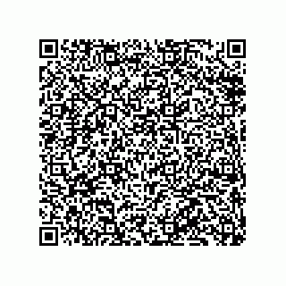 vCard 79833249681