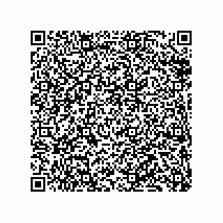 vCard 79833249705