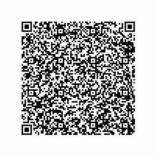 vCard 79833249714
